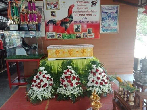Thương gà cưng 16 tỷ ra đi, người đàn ông bỏ trăm triệu làm tang lễ