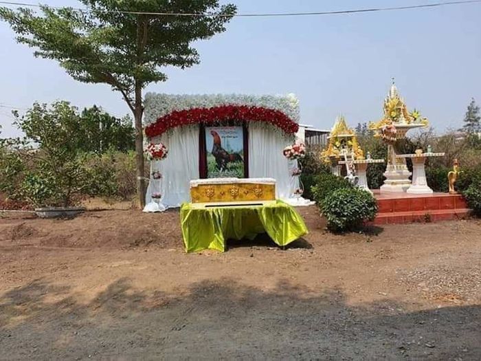 Thương gà cưng 16 tỷ ra đi, người đàn ông bỏ trăm triệu làm tang lễ
