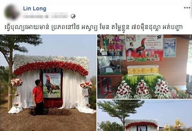 Thương gà cưng 16 tỷ ra đi, người đàn ông bỏ trăm triệu làm tang lễ