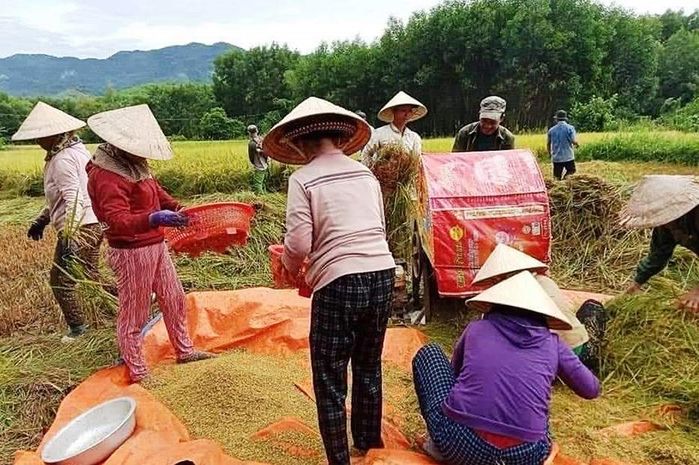 Tình làng nghĩa xóm mùa Covid-19: Gần hết gạo vẫn cho hàng xóm mượn