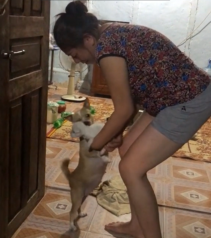 Chú chó nhịn miệng cho đàn con no bụng khi Sen chia thiếu đồ ăn