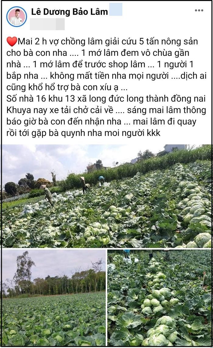 Vợ chồng sao Việt tấm lòng vàng được cả đôi: bị chửi cũng không nản