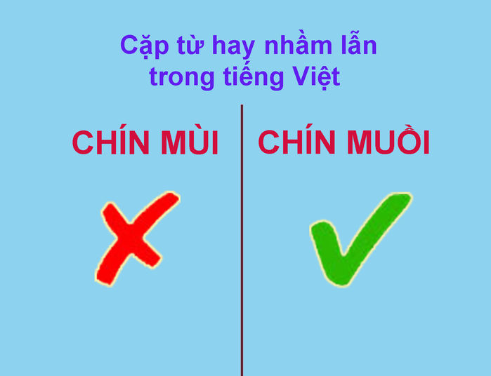 Xoắn não với 15 cặp từ dễ gây lầm lẫn nhất trong tiếng Việt