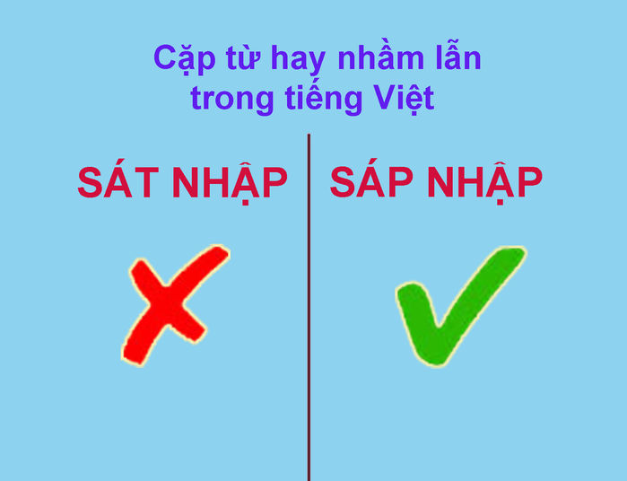 Xoắn não với 15 cặp từ dễ gây lầm lẫn nhất trong tiếng Việt