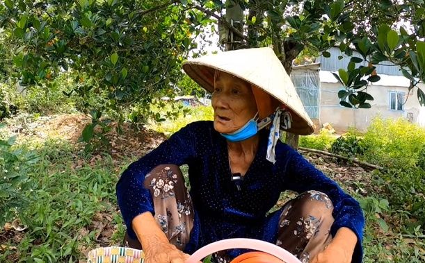Xót xa bà cụ hái rau dại mưu sinh, còn bị kẻ gian cuỗm luôn chiếc nhẫn