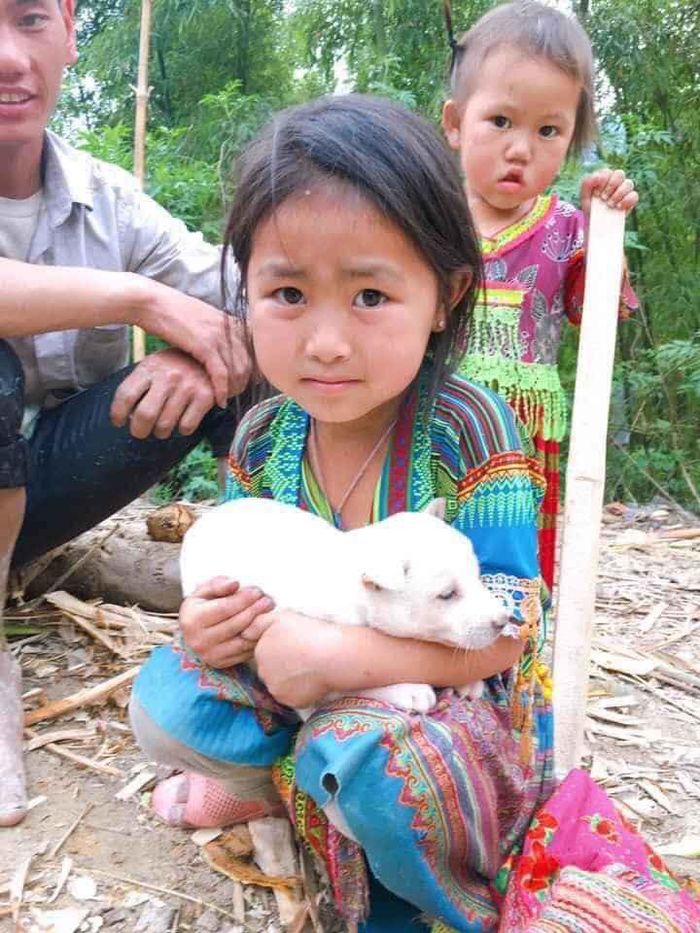 Xót cậu bé nghèo vùng cao bán chó lấy tiền mua rau gạo ăn qua ngày