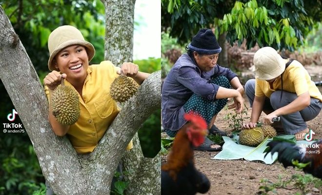 Bỏ 9 năm ở Sài Gòn về làm vườn: Cô gái trở thành Tiktoker chân chất