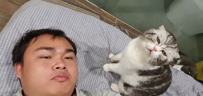 Chú mèo ở Việt Nam trở thành “hiện tượng” sau một đêm