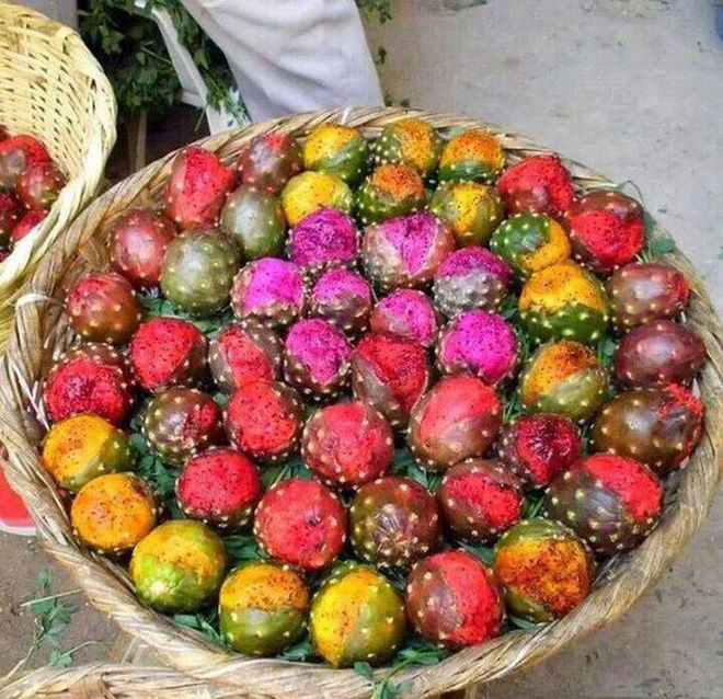 Cô gái khoe thanh long biến màu: sống màu xanh, chín ngả sang cam