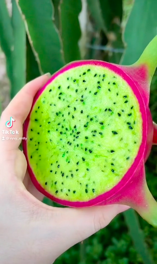 Cô gái khoe thanh long biến màu: sống màu xanh, chín ngả sang cam