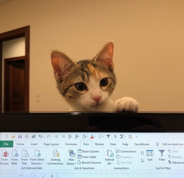Công ty người ta thuê hẳn 2 hoàng thượng kéo mood cho nhân viên