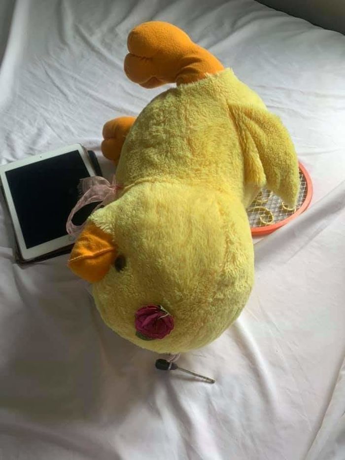 Cười ra nước mắt với 1001 cách giữ chìa khóa của hội não cá vàng