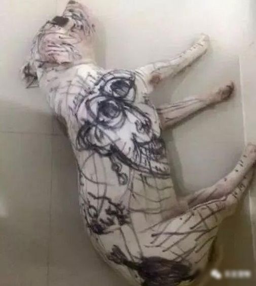 Để con gái chơi cùng cún, 30 phút sau mẹ vào tìm thì tới công chuyện