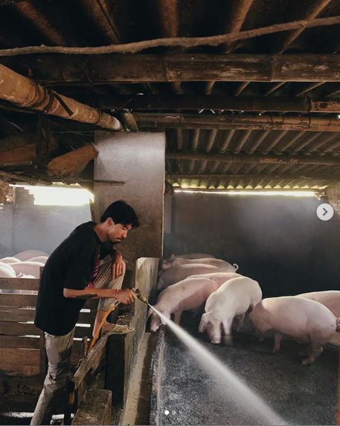 Gác lại hào quang Vbiz, sao Việt làm việc nhà thoăn thoắt không kém ai