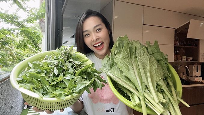 Hồ Bích Trâm trồng rau trên sân thượng: Kiểu này khỏi cần đi chợ