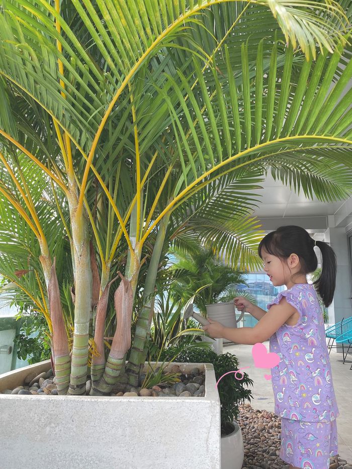 Hoa hậu không cần hào quang Đặng Thu Thảo: Ảnh chụp vội vẫn xuất sắc