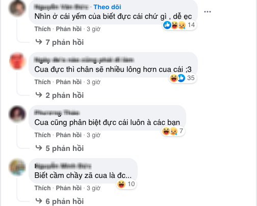 Không biết cua đực - cua cái, cô gái viết tút cầu cứu CĐM