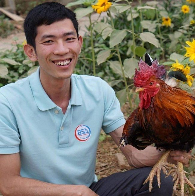 Loại gà trong truyền thuyết Sơn Tinh - Thuỷ Tinh có giá bán ra sao
