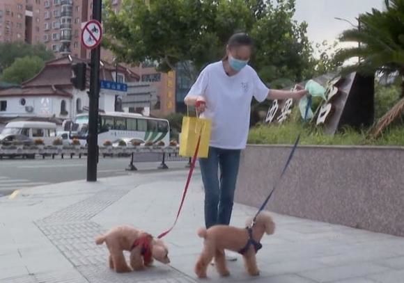 Lưu Tuyết Hoa tuổi xế chiều: không con cái, muốn vào viện dưỡng lão