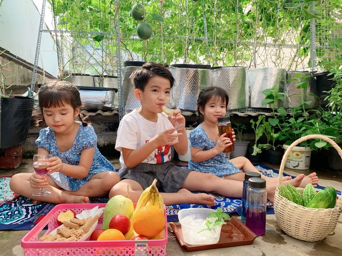 Mướt mắt với vườn rau của ông bố Sài Thành: 3m2 mà rau nào cũng có
