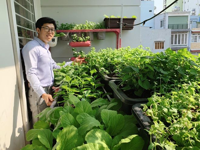 Mướt mắt với vườn rau của ông bố Sài Thành: 3m2 mà rau nào cũng có