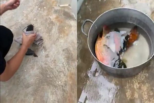 Nữ đại gia có siêu xe 100 tỷ nhà cao cửa rộng vẫn vui thú điền viên