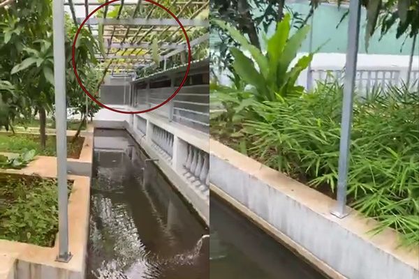 Nữ đại gia có siêu xe 100 tỷ nhà cao cửa rộng vẫn vui thú điền viên