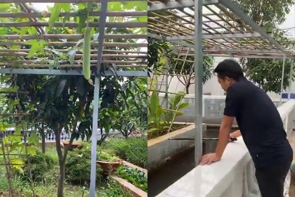 Nữ đại gia có siêu xe 100 tỷ nhà cao cửa rộng vẫn vui thú điền viên
