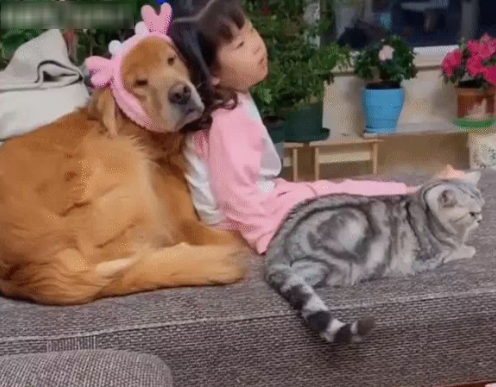 Phát hờn loạt khoảnh khắc ngây thơ vô số tội của em bé và đại boss