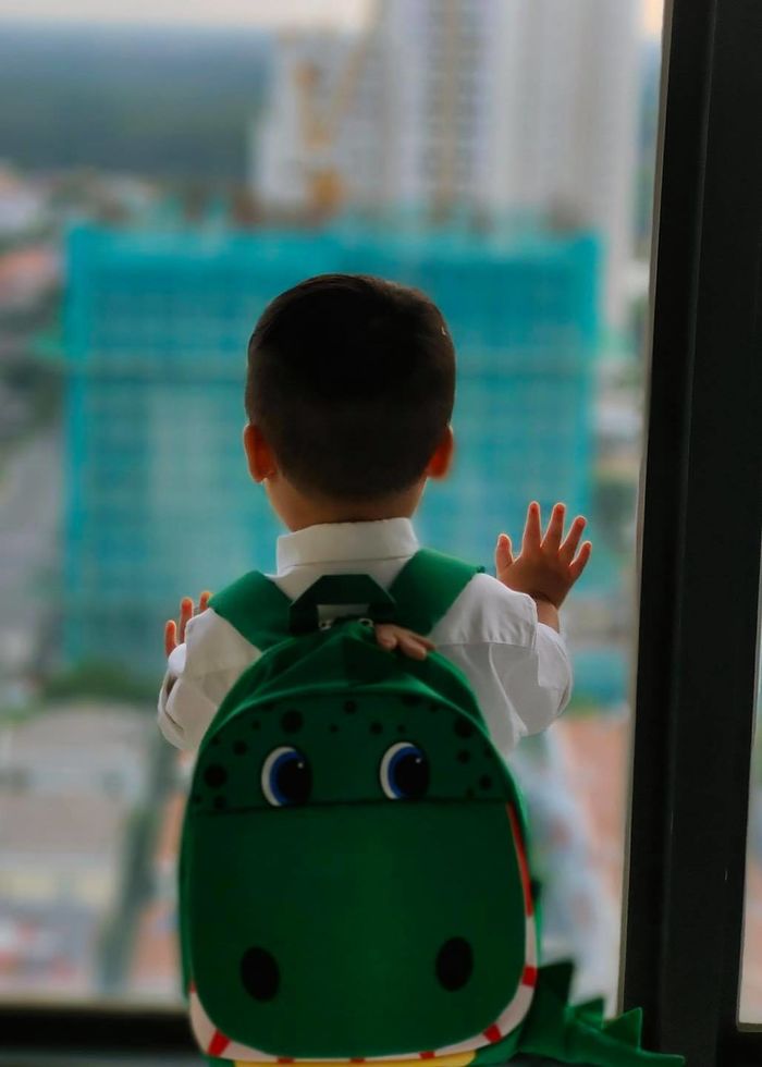 Sao Việt 24h: Đàm Vĩnh Hưng mời công ty kiểm toán vào cuộc