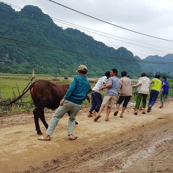 Những sao Việt gặp sự cố từ thiện vẫn không chùn bước