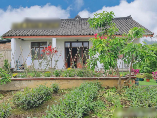 2 cô bạn cùng nhau dưỡng già ở tuổi 29: Sống vui vẻ, không yêu đương