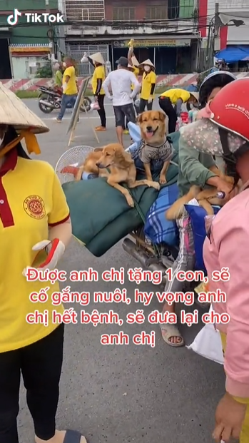 Bé cún may mắn còn sống sót sau vụ tiêu hủy: Lũn cũn cực đáng yêu