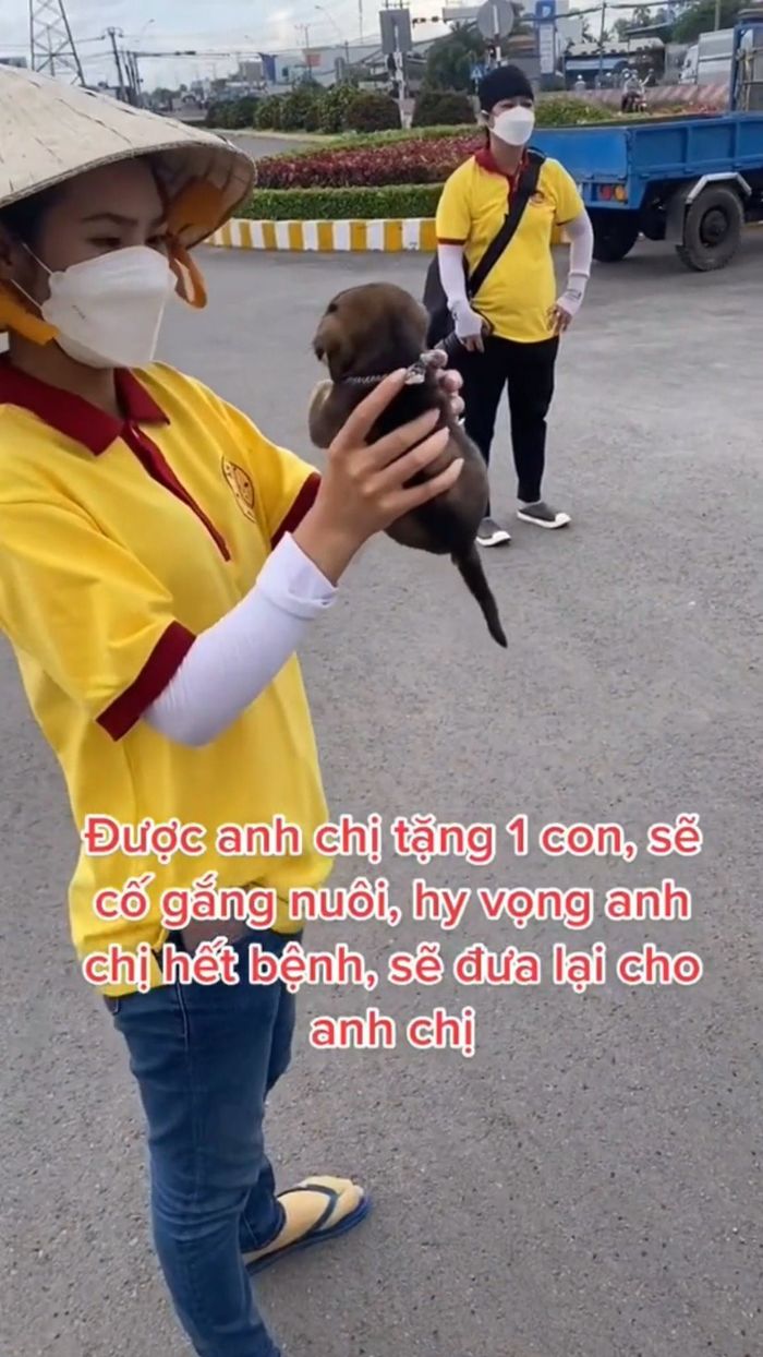 Bé cún may mắn còn sống sót sau vụ tiêu hủy: Lũn cũn cực đáng yêu