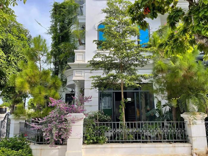 Biệt thự đậm chất châu Âu của sao: người dát vàng, view biển 600 tỷ
