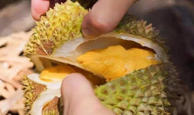 Cách lựa sầu riêng cơm vàng, hạt lép: chỉ cần nhìn gai là có quả ngon