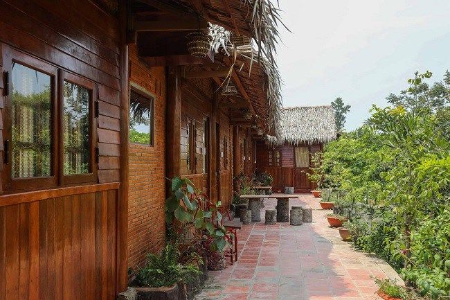 Cận cảnh ngôi nhà được xây bằng 4.000 cây dừa trị giá 6 tỷ ở miền Tây