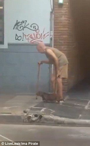 Chú chó kiên nhẫn nhất thế giới: Dẫn cụ già bước từng bước một