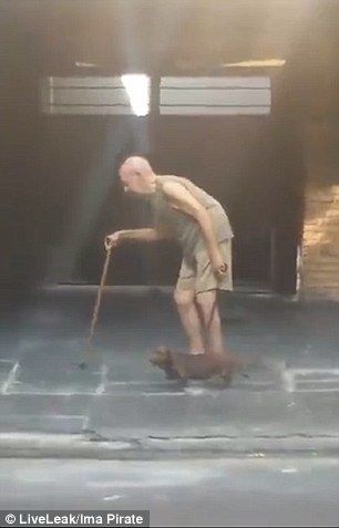 Chú chó kiên nhẫn nhất thế giới: Dẫn cụ già bước từng bước một