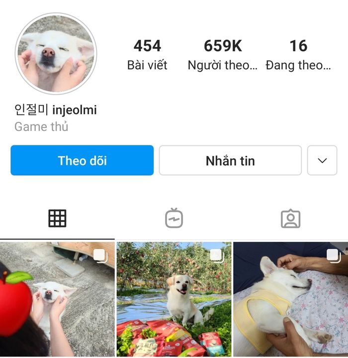 Cô cún đùng một phát thành boss quốc dân, được lên cả đài SBS