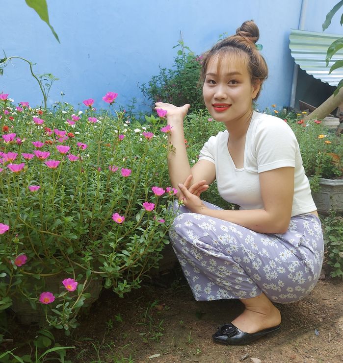 Cô gái 9X nghỉ công nhân về quê trồng hoa mười giờ, thu 20 triệu/tháng