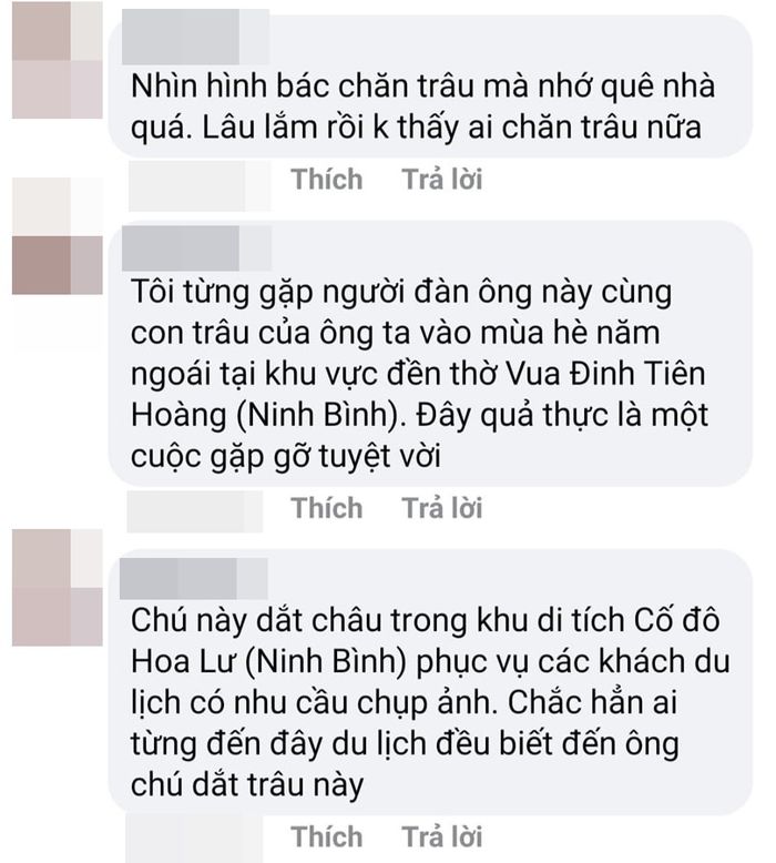 Cuộc hội ngộ kì diệu của em bé Tây và ông chăn trâu sau 15 năm