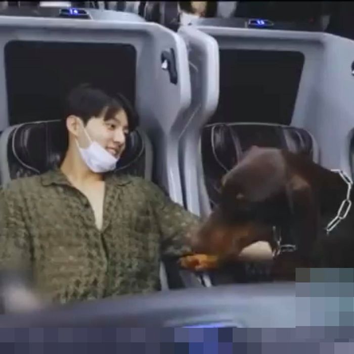 Đặc quyền cún cưng của sao Hàn: Jungkook (BTS) cưng tận nóc