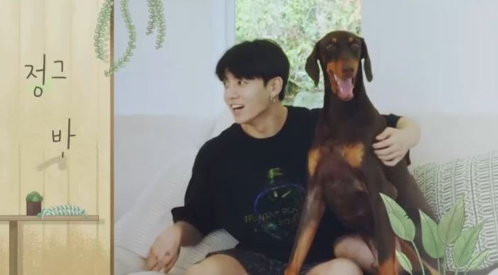 Đặc quyền cún cưng của sao Hàn: Jungkook (BTS) cưng tận nóc