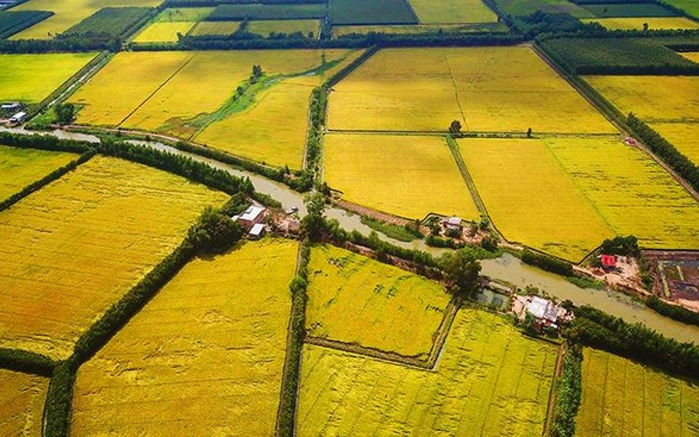 Dân miền Tây dù vô tư mấy cũng nhận ra triệu chứng của cơn bịnh ngặt