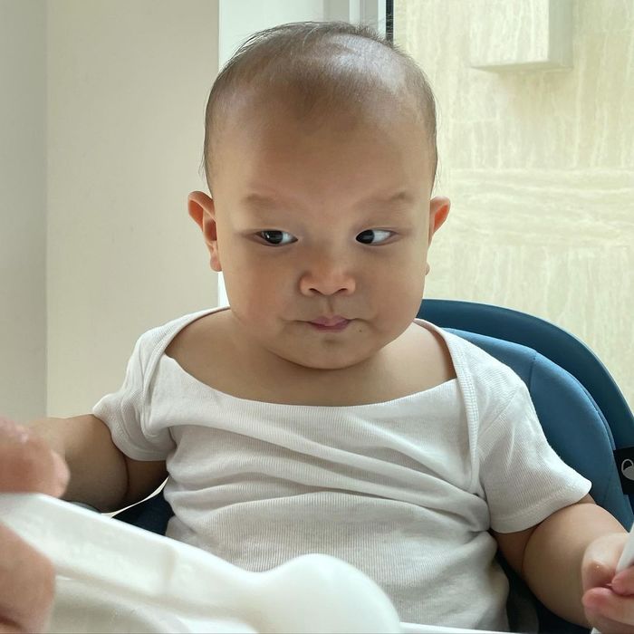 Hành trình tự ăn của Lisa - Leon: Lisa chăm chú, Leon hơi nhăn nha