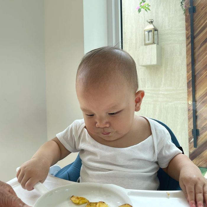 Hành trình tự ăn của Lisa - Leon: Lisa chăm chú, Leon hơi nhăn nha