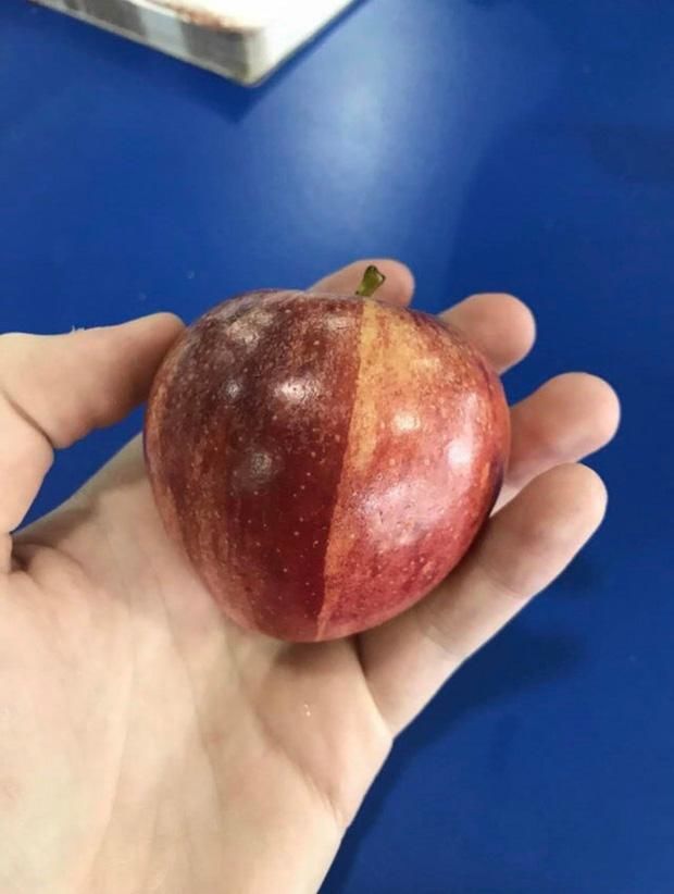 Hình dáng hài hước độc đáo của rau củ quả không ai nghĩ có trên đời