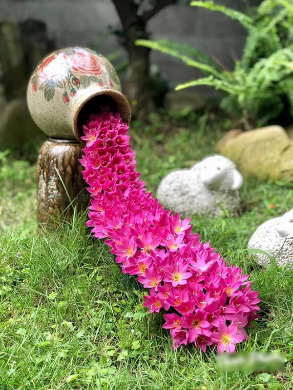 Học cách thổi hồn cho những bình hoa giúp không gian sống đẹp và sang