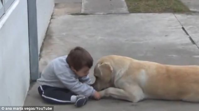 Chú chó kiên trì an ủi cậu bé mắc hội chứng Down: Mình làm bạn nhé